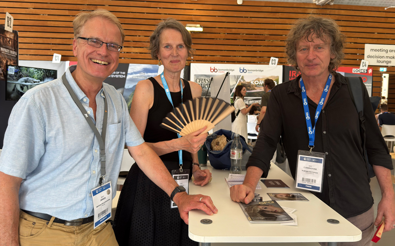 MIFA/Annecy 2026 - Special Edition - Prensario Zone
