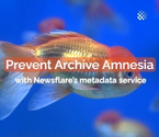 Newsflare
